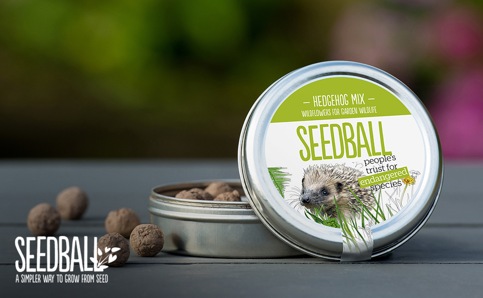 SEEDBALL Hedgehog Mix Seed Bombs (Wild Flower Tin) 20 Seed Balls Per