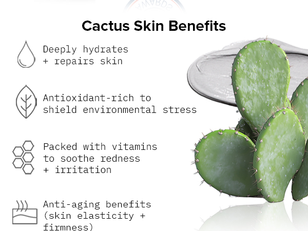 Cactus Benefits Deeply Hydrates Repair Skin Packed with vitamins to soothe redness irritation