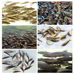 Small manufacture image 7