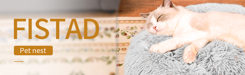 cat bed