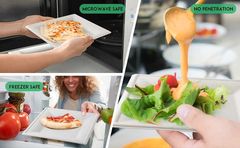 disposable square plates 100pack