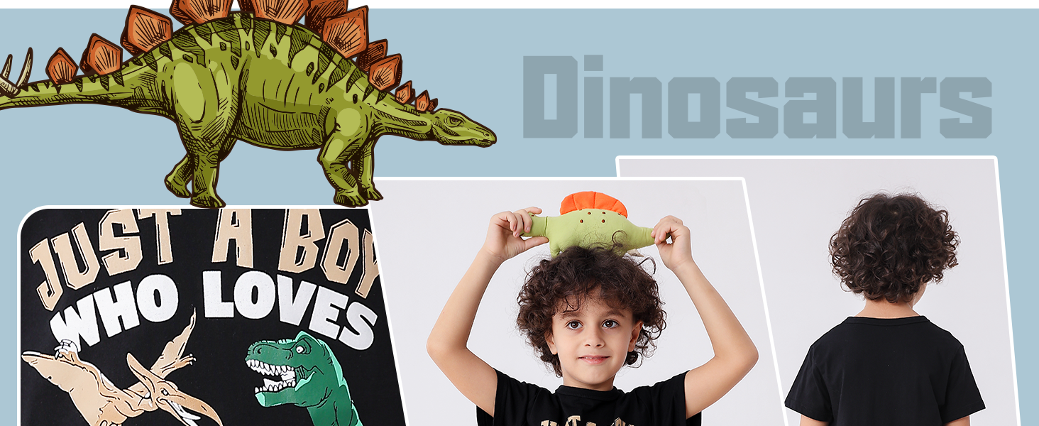 Toddler boy dinosaur shirts