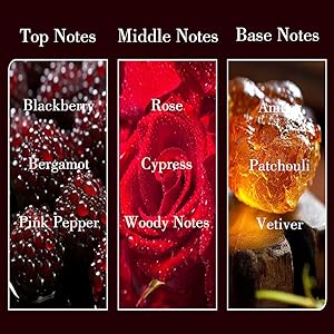 blackberry bergamot rose cypress amber vetiver