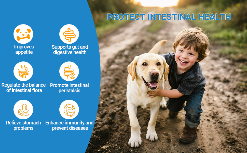 dog multivitamins chewable