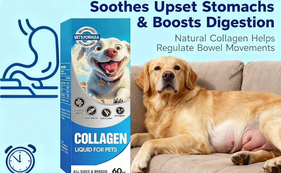 Collagen for Dogs 02