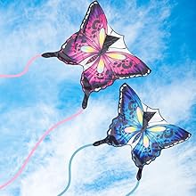 butterfly kite