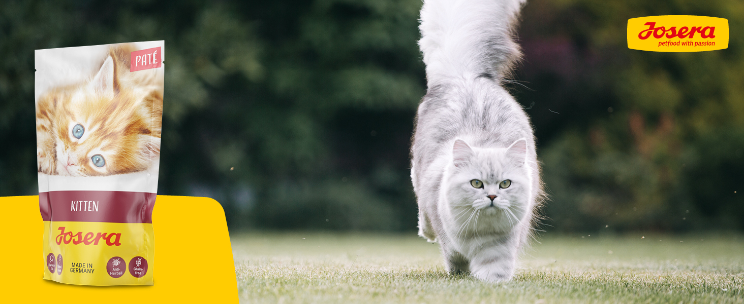 Katzennassfutter Josera Peté Kitten