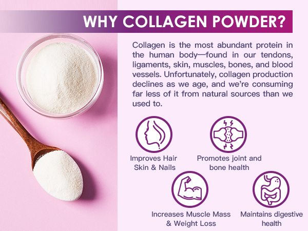 collagen powder benefits