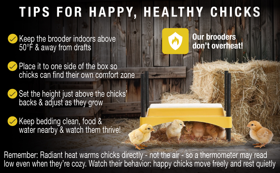 Large manufacture image 3