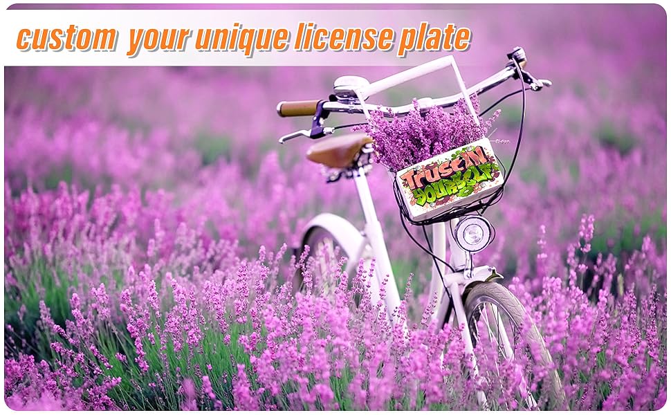 Custom Front License Plate, Personalized License Plate for