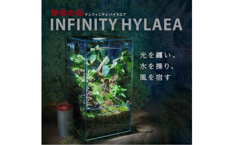 LEDSTAR INFINITYHYLAEAインフィニティハイラエアAQ-F30 Amazon.co.jp: LEDSTAR インフィニティ ハイラエア テラリウム