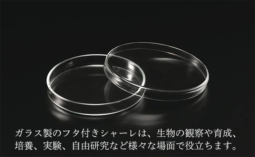 ⭐️匿名配送❣️シャーレ ペトリ皿 ガラス製 蓋付き 5個 ハンドメイド 150mm Amazon | Petomy シャーレ ペトリ皿 蓋付き ガラス製 耐熱 細胞