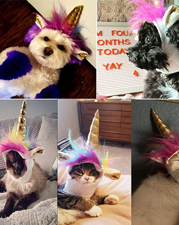 Cat Unicorn Hat