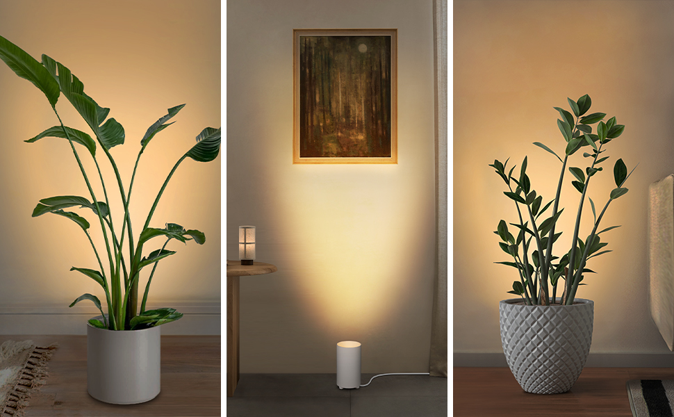 floor spotlights indoor