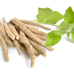 Ashwaganda plante complément gellule poudre june dormir sommeil