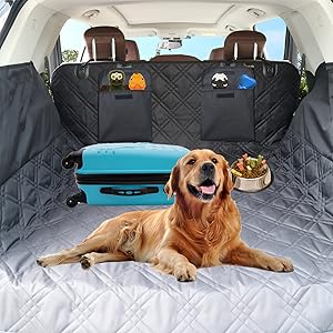 cargo liner and dog