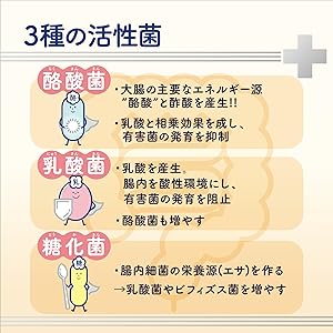 3 types of active bacteria