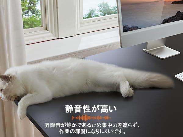 【最終価格】ErGear 電動 オフィスワークテーブル 昇降式デスク Amazon | ErGear 電動 オフィスワークテーブル 昇降式デスク