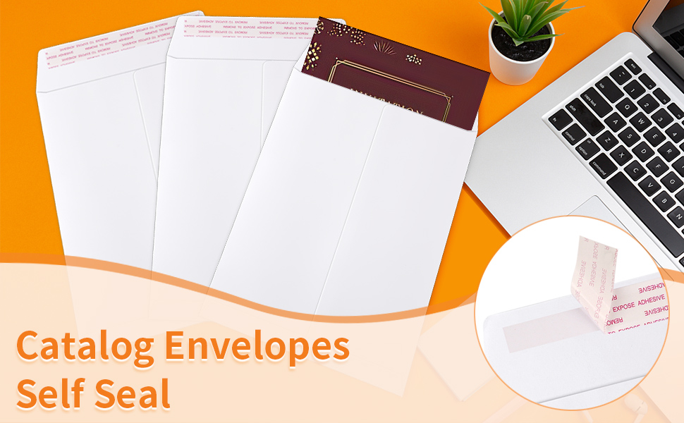 40 Pack Catalog Envelopes Self Seal, 6 x 9 Inches Catalog