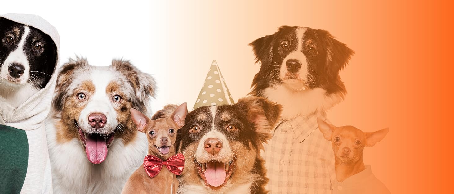 Pet Frenly Brand Story