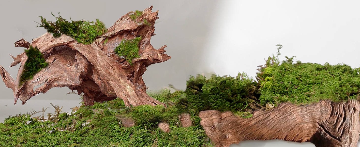 natural air plants habitat