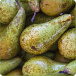 Primo piano di pere fresche con buccia maculata verde e marrone. Le pere sono mostrate in vari orientamenti, evidenziando