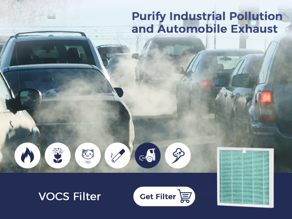 VOCS Filter