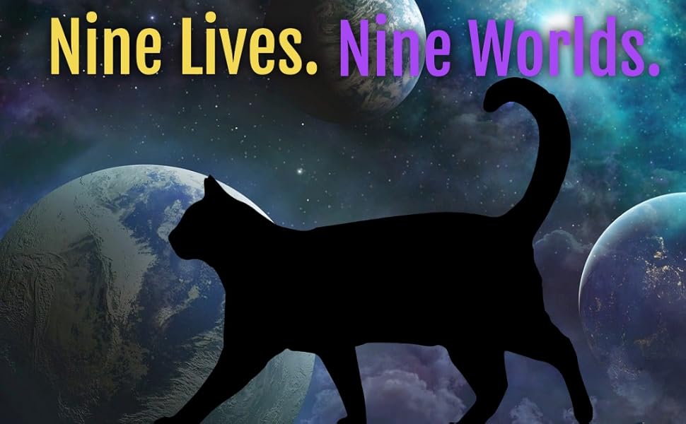 Amazon.com: Stray Cats: 9798830901789: Kilgore, Kenton: Books