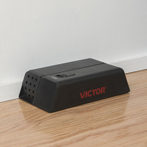 Small manufacture image 2