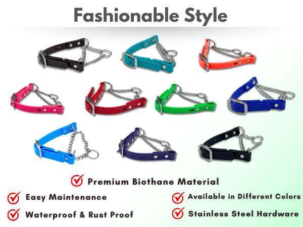 【Shiho】Ameri　RETURN COLLAR ALL IN ONE Amazon.com : JIM HODGES DOG TRAINING Martingale Collar for