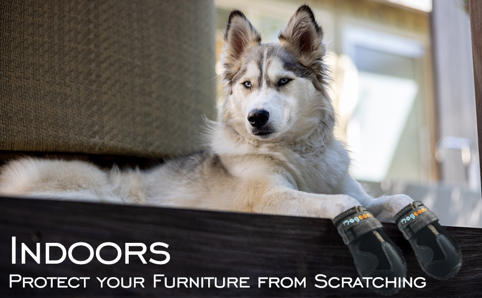 Dog Boots, Shoes for Small Large Medium Dogs, Rain Booties