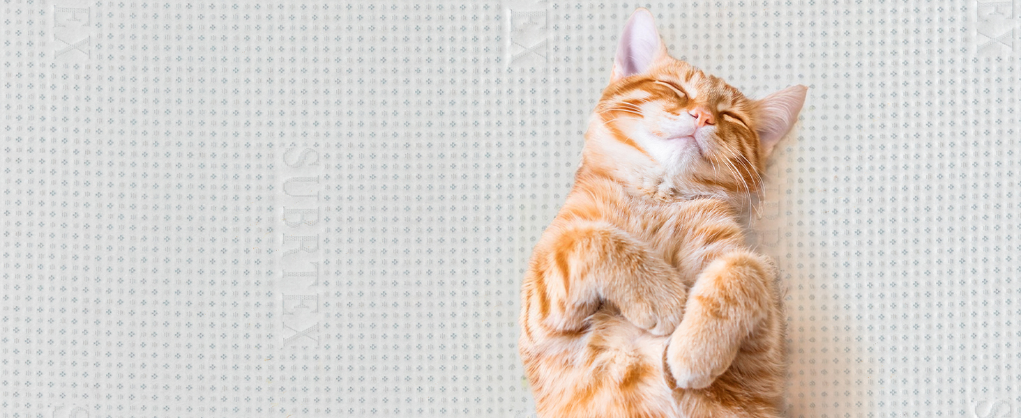 2 inch Twin XL Memory Foam Mattress Topper with Removable