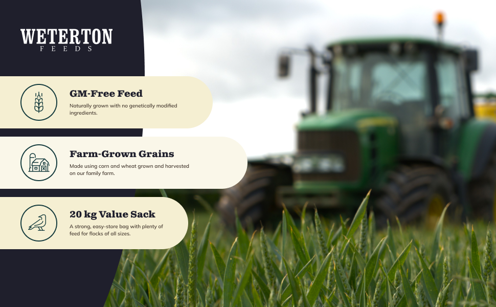 Large manufacture image 3