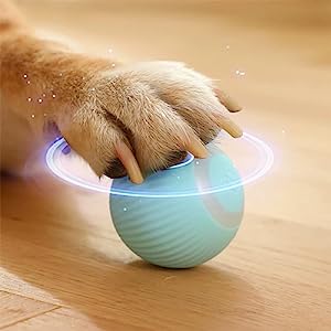 Eine Hundepfote auf einem blauen Ball.