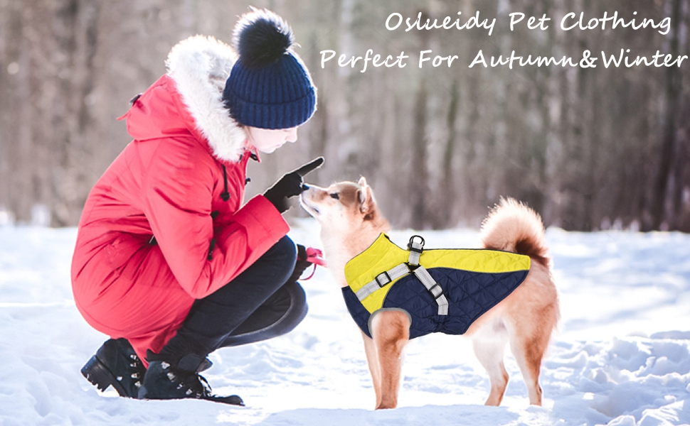 Oslueidy Waterproof Dog Coat, Warm Dog Coat Winter Dog Jacket with