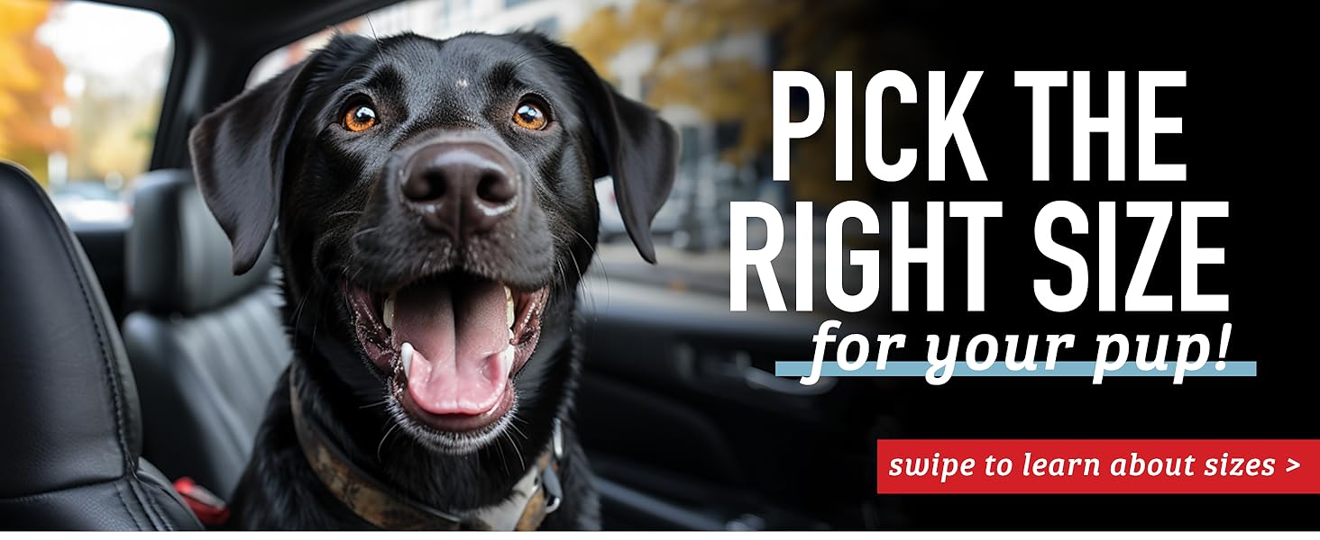 LeashBoss - Car Seat Belt Restraint