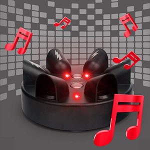 Music with a sense of inclusion