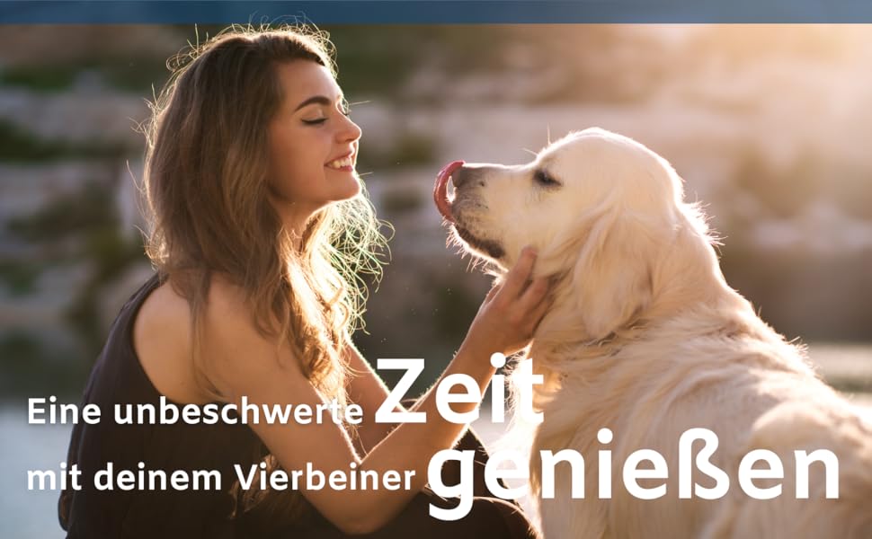 unbeschwerte Zeit mit deinem Vierbeiner