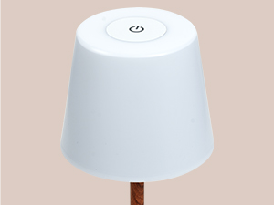 LED Night Light