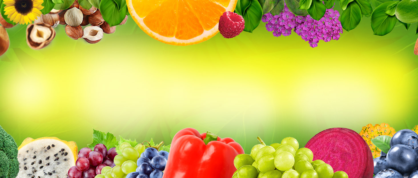 multivitamin organic vitamins natural prenatal best multi vitamin supplements balance multivitamins