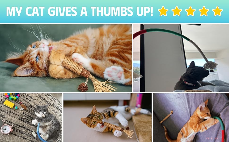 kitten teething toys