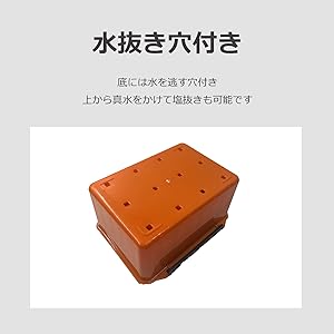 Amazon.co.jp: lifactlab. エギストッカー コンパクト 秋用 3号