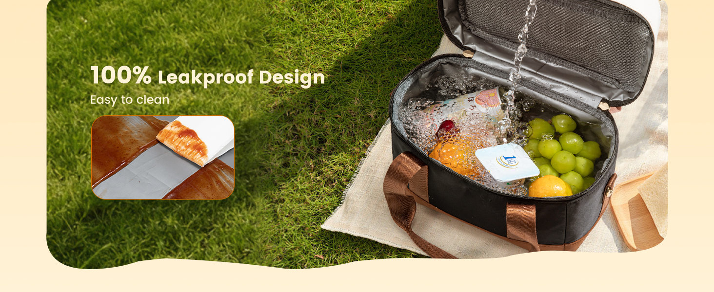 lunch bags for women