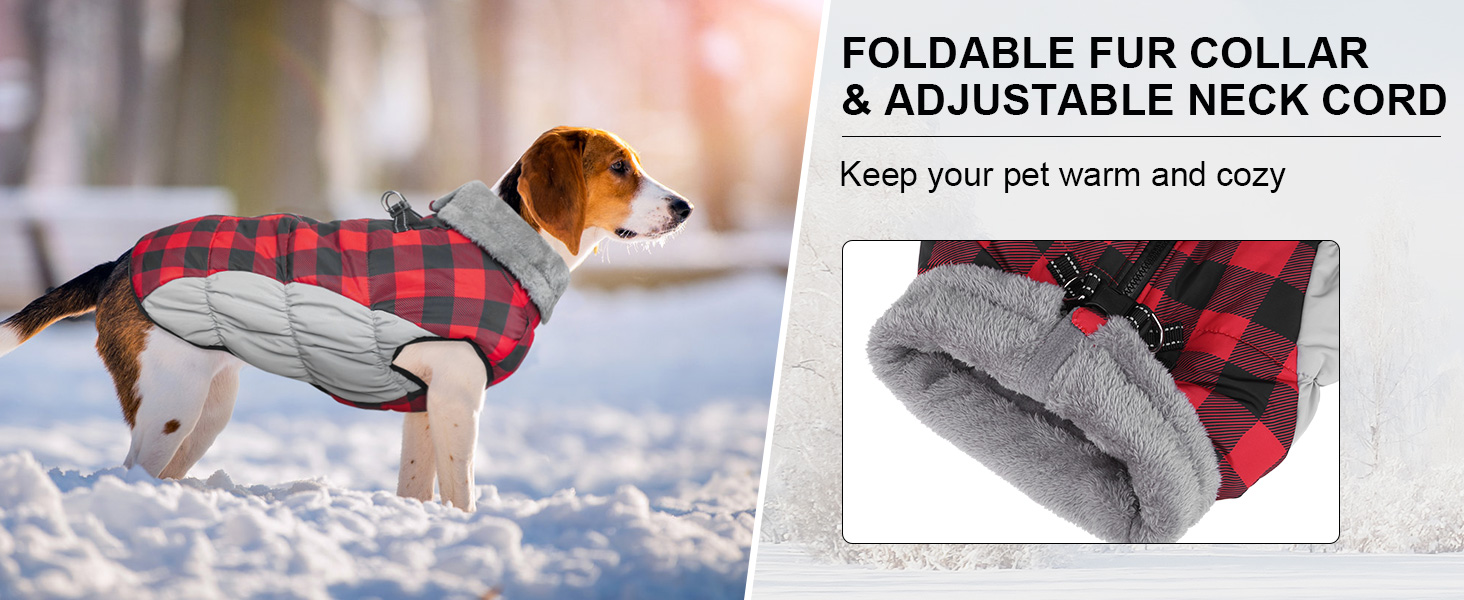 BEAUTYZOO Dog Coat for Small Dogs, Dog Winter Coat with