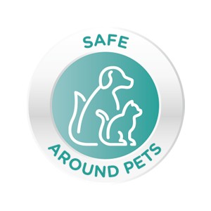 Small manufacture image 6