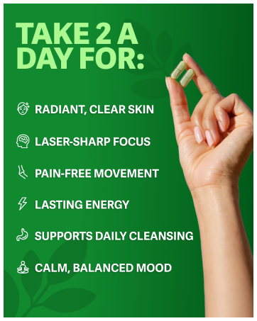 rosabella moringa capsules morning antioxidant superfood energy skin health amino acid powder