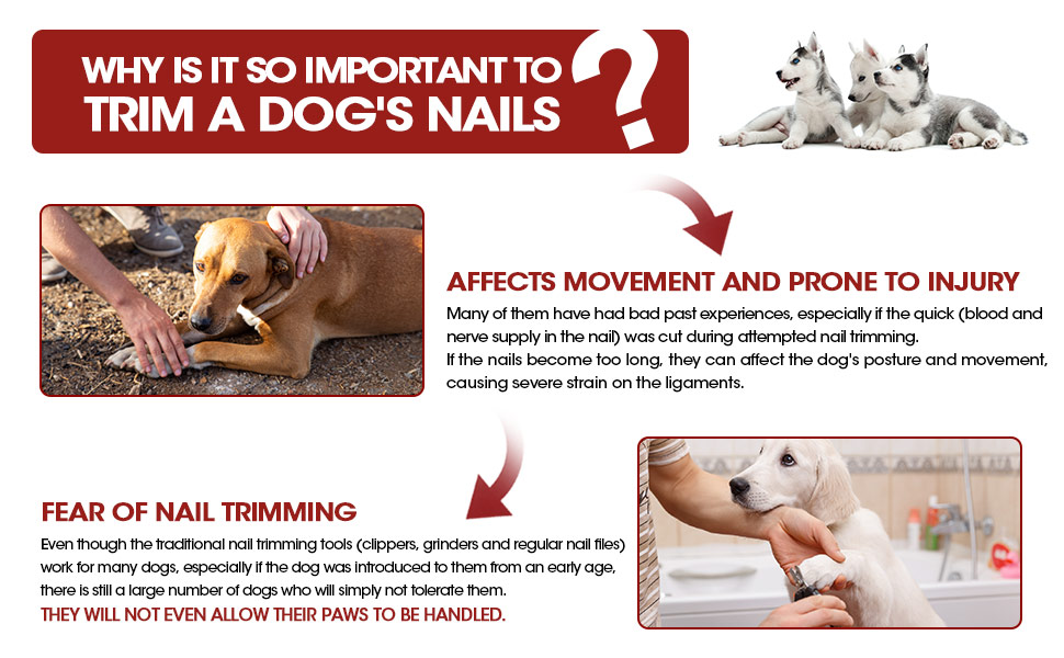 ANZOME Dog Scratch Board, Dog Scratch Pad for Nails Easily to Trim Nail for Dog