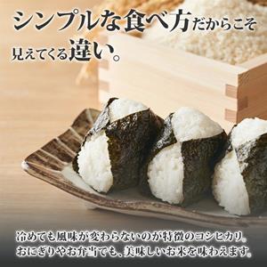 Amazon.co.jp: 新米予約 令和7年産 魚沼産コシヒカリ 5kg 特A 無