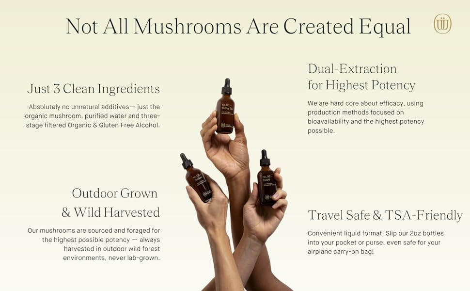 medicinal mushroom, mushroom extract, mushroom tincture, holistic tincture, lions mane
