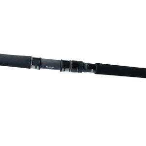 Amazon | ダイワ(DAIWA) キャスティングロッド SALTIGA